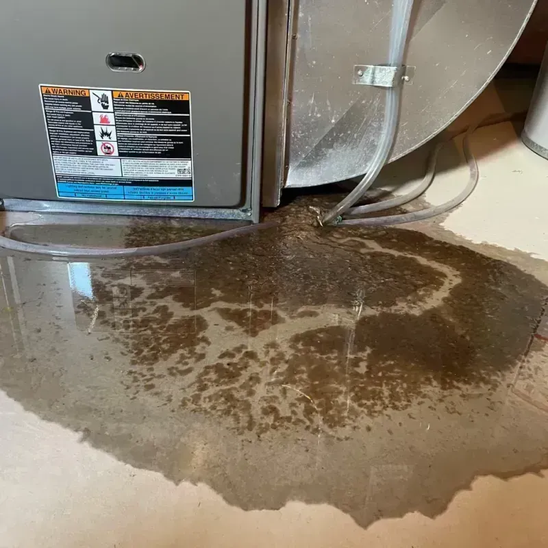 Appliance Leak Cleanup in Boone County, IL